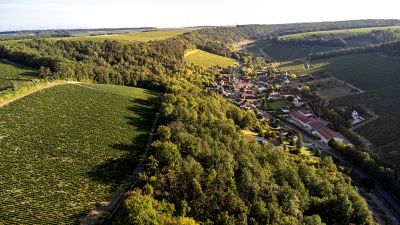 Chablis Fyé - Domaine Dauvissat