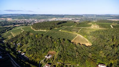 Chablis Fyé - Domaine Dauvissat