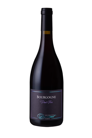  Bourgogne Pinot Noir - Domaine Dauvissat